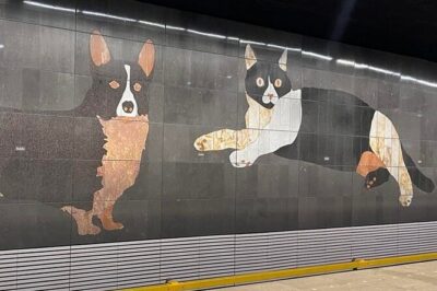 Your Own Amsterdam: The Art Underground - Stop 1: Centraal Station’s Art and the Dutch Global Story