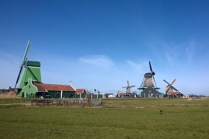 Zaanse Schans and Volendam Private Tour from Amsterdam - Henri Willig Cheese Farm: Jersey Cows, Production, and Tastings