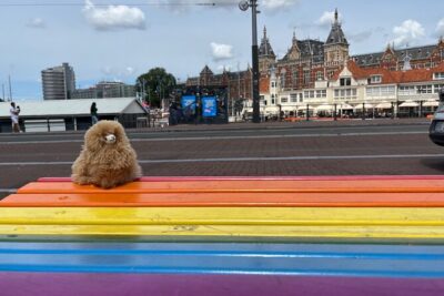 Zaanse Schans Edam Volendam Private Day Tour from Amsterdam - Cheese Shop Time and Clogs: What You Can Actually Do